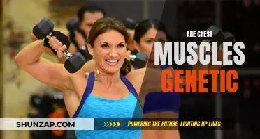 Chest Muscles: Genetic or Earned?