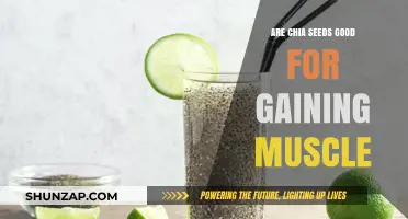Chia Seeds for Muscle Gain: Unlocking Their Potential in Fitness