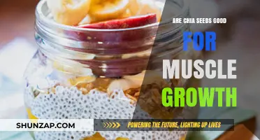 Chia Seeds and Muscle Growth: Unlocking Their Potential for Strength