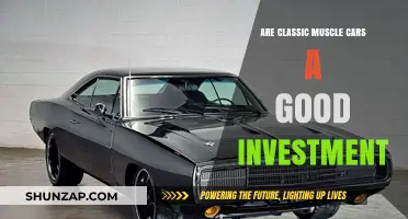 Classic Muscle Cars: Smart Investment or Costly Hobby?