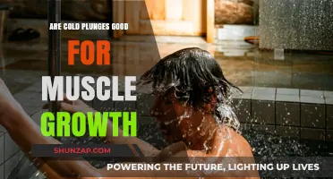 Cold Plunges and Muscle Growth: Unlocking Recovery and Strength Benefits