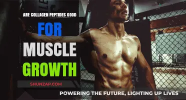 Collagen Peptides and Muscle Growth: Benefits, Science, and Results