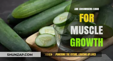 Cucumbers and Muscle Growth: Unlocking Hydration's Role in Fitness