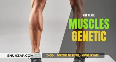 The Myth of Dense Muscles: Nature or Nurture?