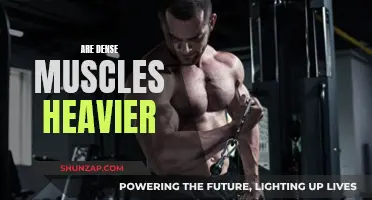 Dense Muscle Myth: Heavier or Healthier?