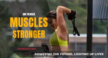 Denser Muscles: Key to Strength?