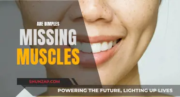 Dimples and Muscles: What's the Connection?