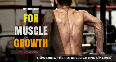 Are Dips Effective for Building Muscle? A Comprehensive Analysis