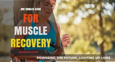 Edibles for Muscle Recovery: Benefits, Risks, and Effectiveness Explored