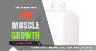 Egg Whites for Muscle Growth: Benefits and Nutritional Insights