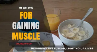 Eggs and Muscle Gain: Unlocking Protein Power for Strength Building