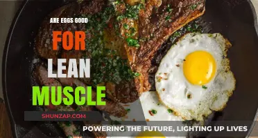 Eggs for Lean Muscle: Nutrition Benefits and Effective Strategies