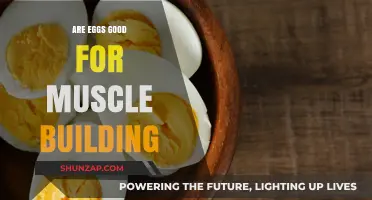 Cracking the Myth: Eggs and Their Role in Muscle Building