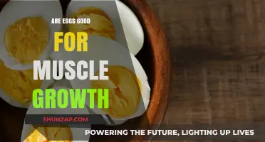 Eggs and Muscle Growth: Unlocking Protein Power for Stronger Gains