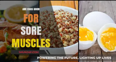 Eggs for Muscle Recovery: A Nutritional Boost for Sore Muscles?