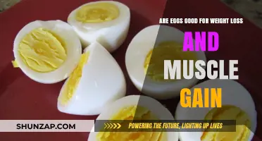 Eggs for Weight Loss and Muscle Gain: Nutrition Facts and Benefits