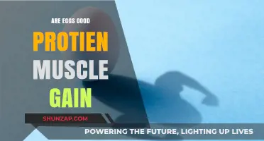Eggs for Muscle Gain: High-Protein Powerhouse or Overhyped?