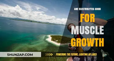 Electrolytes and Muscle Growth: Unlocking the Benefits for Strength