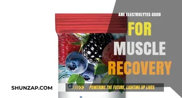 Electrolytes and Muscle Recovery: Essential Benefits for Active Individuals
