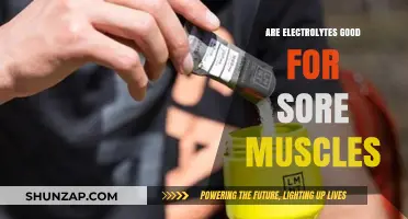 Electrolytes and Muscle Recovery: Can They Ease Sore Muscles?