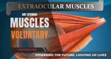 Understanding Voluntary Control of Extrinsic Muscles