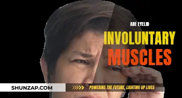 Eyelid Muscles: Are They Involuntary or Voluntary?