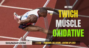 Fast-Twitch Muscles: Oxidative Potential and Performance