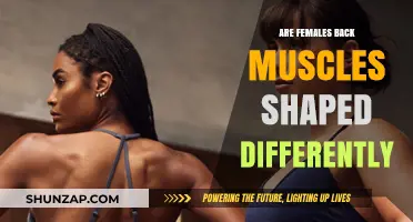 Exploring the Unique Anatomy of Female Back Muscles