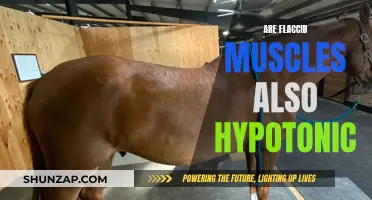 Flaccid Muscles: Always Hypotonic? Understanding Muscle Tone