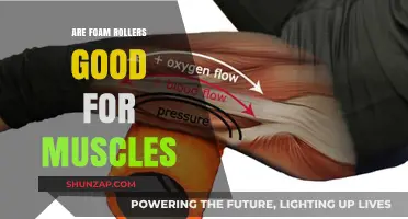 Foam Rollers: Effective Muscle Recovery Tool or Overhyped Trend?