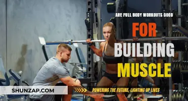 Full Body Workouts: Effective for Muscle Building?