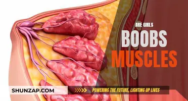 The Science Behind Breasts: Are They Muscles?