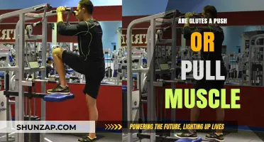 Glutes: Understanding Their Role as Push or Pull Muscles