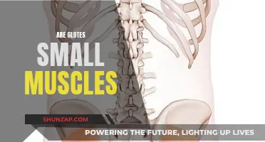Glutes: Small But Mighty Muscles That Power Your Body