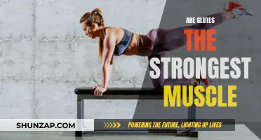 Glutes: The Body's Strongest Muscle?