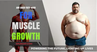 Good Fats for Muscle Growth: Unlocking Strength and Recovery Benefits