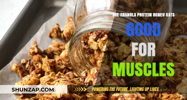 Granola Protein Honey Oats: Muscle-Building Benefits Explained