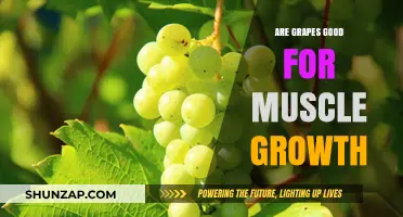 Grapes and Muscle Growth: Unlocking the Fruit's Fitness Potential