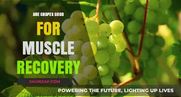 Grapes and Muscle Recovery: Unlocking Nature's Post-Workout Benefits