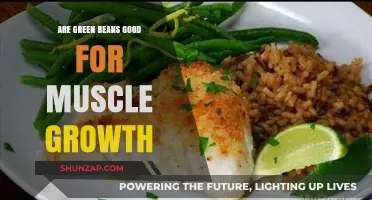 Green Beans and Muscle Growth: Unlocking the Nutritional Benefits