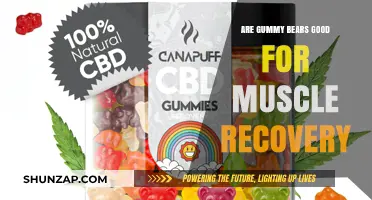 Gummy Bears and Muscle Recovery: Sweet Snack or Fitness Aid?