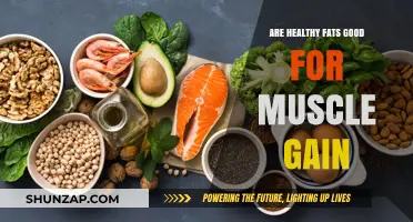 Healthy Fats for Muscle Gain: Fueling Growth and Recovery