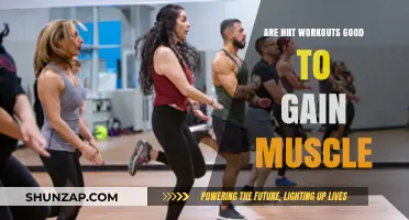 HIIT Workouts for Muscle Gain: Effective or Overhyped?