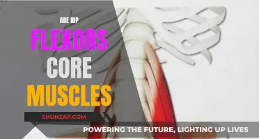 Hip Flexors: Core Muscles or Not?