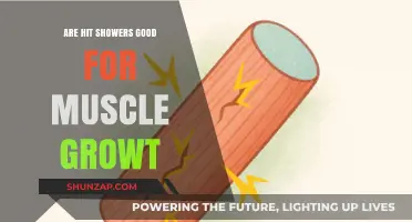 Hot Showers and Muscle Growth: Benefits, Myths, and Recovery Tips