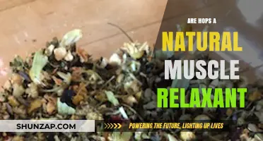 Hops as a Natural Muscle Relaxant: Fact or Fiction?