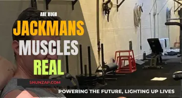 Hugh Jackman's Muscles: Real or Reel?