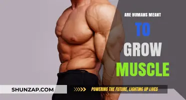 Are Humans Naturally Designed to Build and Grow Muscle?