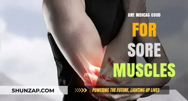 Indica Strains: Effective Relief for Sore Muscles After Workouts?
