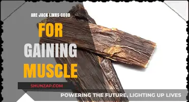 Jack Links Beef Jerky: Muscle-Building Snack or Just Protein?